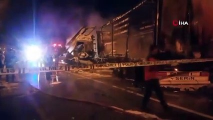 TIR'ın sürücüsü yanarak can verdi