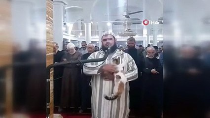 Kedi namaz kıldıran imamın omzuna zıpladı. Video sosyal medyada izlenme rekorları kırdı