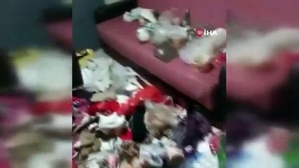Çöp evden dram çıktı. Annenin ifadesi ''pes'' dedirtti