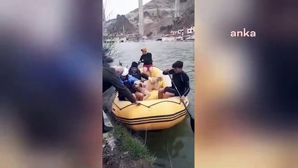 Kent sular altında kalıyor. Sokak hayvanları botla kurtarıldı