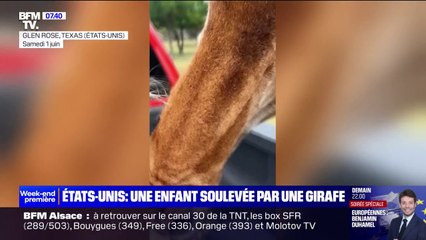 États-Unis: les images d'une girafe qui soulève une enfant dans un parc animalier