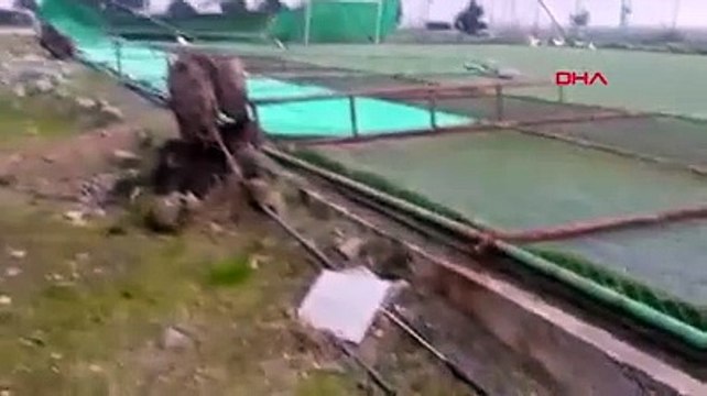 Doğu Karadeniz’i fırtına vurdu! Çatı uçtu, ağaçlar devrildi, halı sahanın direkleri yıkıldı