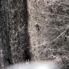 Ruslar silahını bırakıp teslim olan askeri öldürdü. Son anlarında ateş edilmesin diye yalvardı