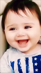 funny monkey video#shots