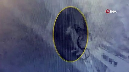 Bahçe duvarından işyerine girdi. Güvenlik kamerasına böyle takıldı