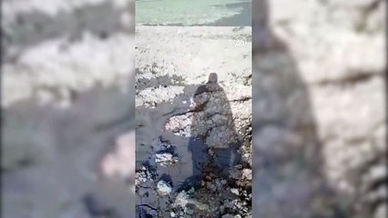 Elazığ’ı tedirgin eden görüntü! Sıvılaşma görüldü