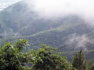 in the clouds #shorts #viral #trending #foryou #tiktok #delicious #gaming #reels#dailymotion #France #Pakistan #Algeria #India #USA #Iran #entertainment #tour #fun