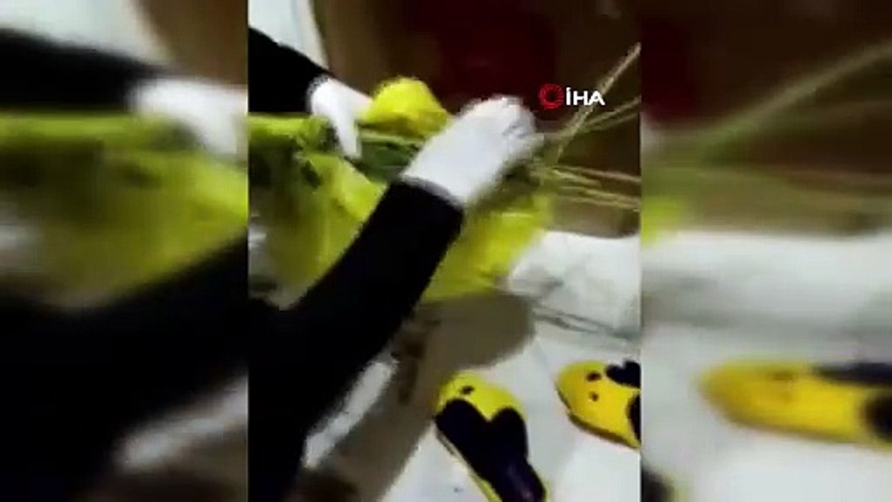 Lüks eve polis bastı. Görenlerin ağzı açık kaldı