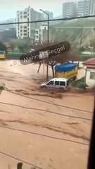 Sel sularına atlayıp anne ve çocuğunu kurtardılar