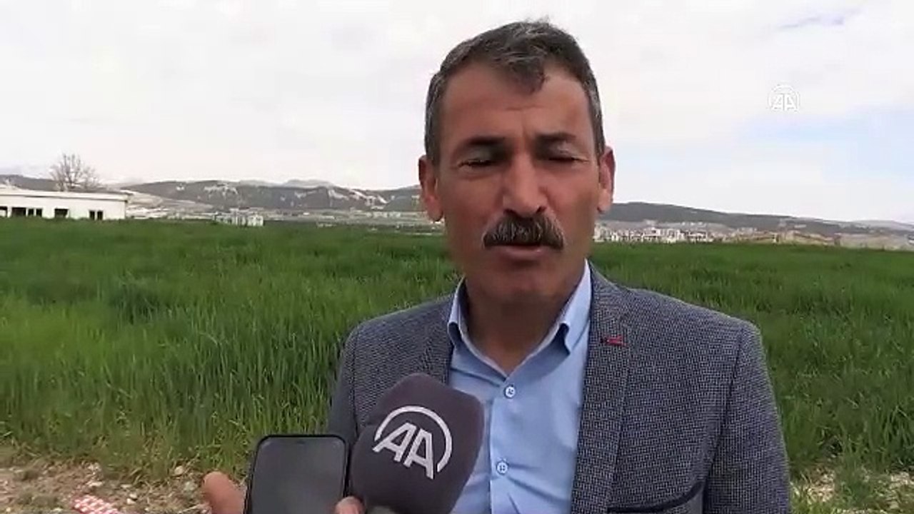 Depremzede çiftçiler, tütün ekimine başladı