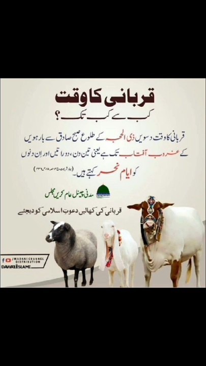 Islamic vedio