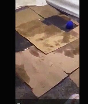 Kahramanmaraş’ta AFAD’ın çadır kentini su bastı. Depremzedeler geceyi sokakta geçirdi