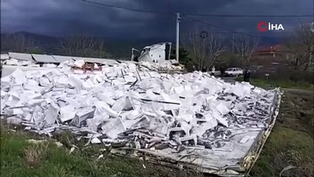 Balık yüklü tır kaza yaptı: Balıklar yola döküldü