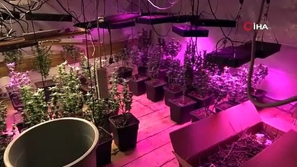 Pendik'te zehir baskını