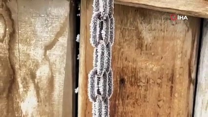 Ağrı’da her yer soğuktan buz tuttu