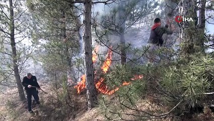 Download Video: Kastamonu’da çıkan yangında arı kovanları son anda kurtarıldı   