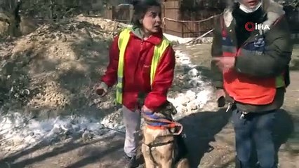 Enkazdan kurtarılan köpeğe askerler sahip çıktı