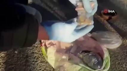 Defineciler cihatçı alayın mührünü buldu