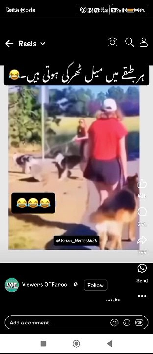Funny World