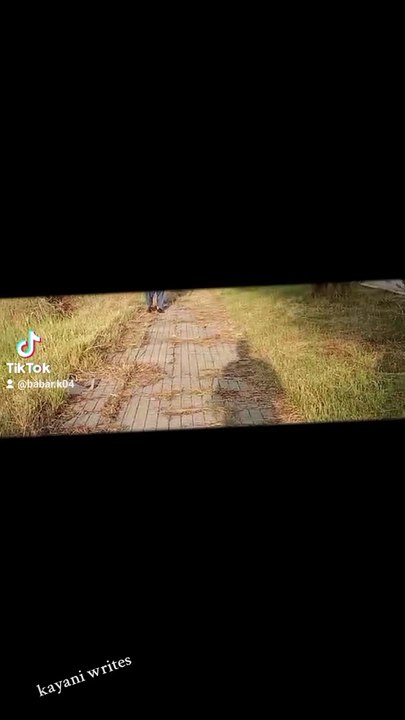 Walking style  