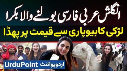 English , Arabic And Farsi Bolne Wala Bakra - Larki Ka Bakre Sale Karne Wale Se Price Par Jhagra