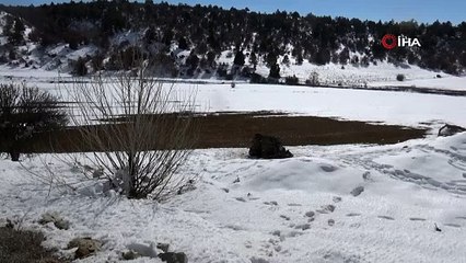 Aileleri haber alamıyordu. Trafik kazasında öldükleri ortaya çıktı