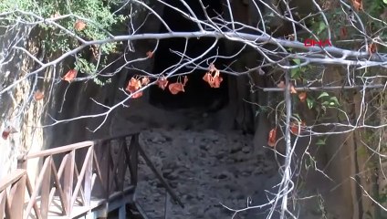 Hatay’da yeni binalar yıkılırken iki bin yıllık Ölüler Şehri ayakta kaldı