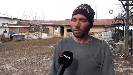 İlçede 'çiçek' alarmı. Onlarca küçükbaş hayvan telef oldu. Diğerleri karantinaya alındı