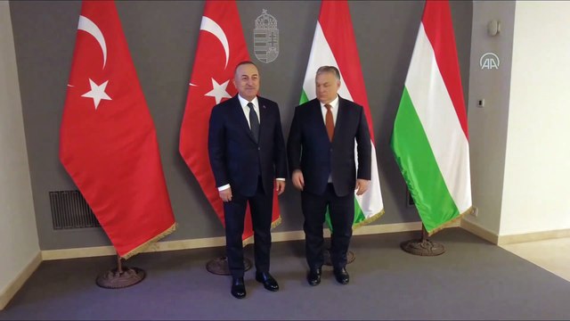 Çavuşoğlu, Macaristan Başbakanı Orban ile görüştü