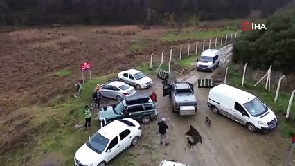 Aracın arkasında sürüklediler. İstanbul’da kuruyan barajında domuz avı