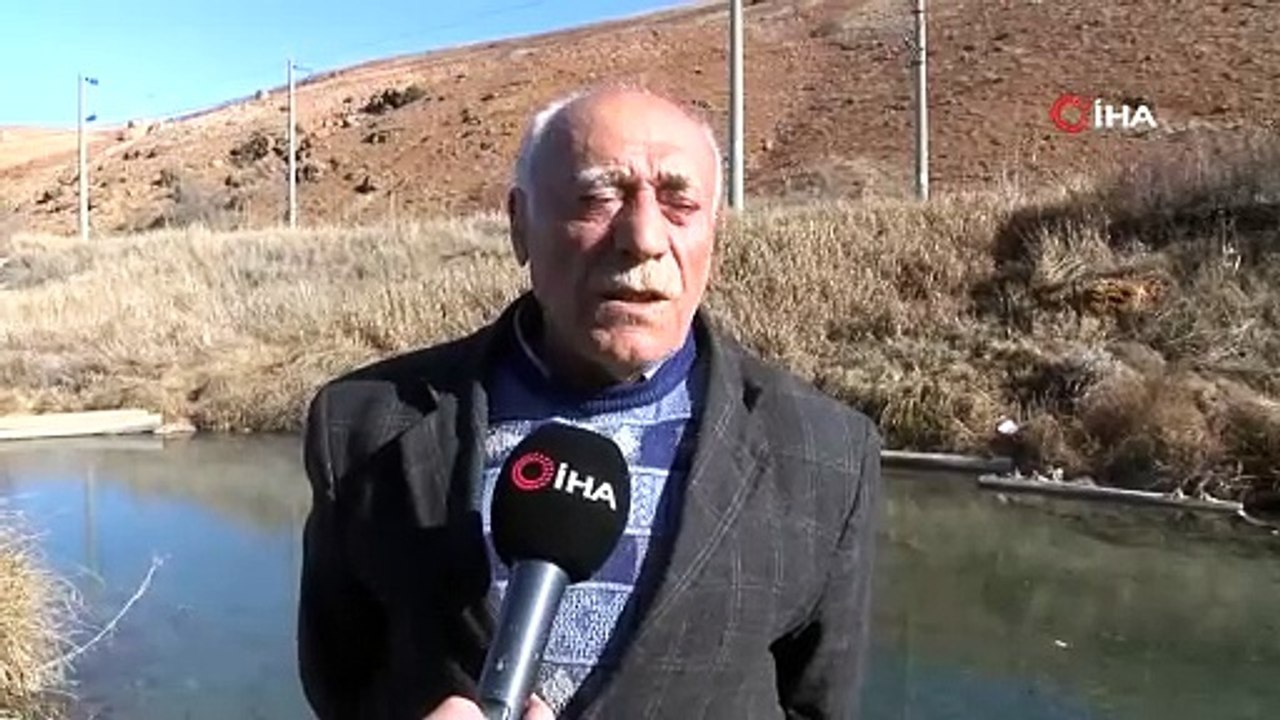 'Doktor Balıklar' altın madeni tehdidi. Yok olma tehlikesiyle karşı karşıyalar