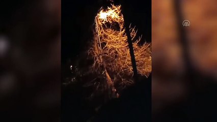 Rizeli bahçesindeki ağaçta ayı görürse neler olur?