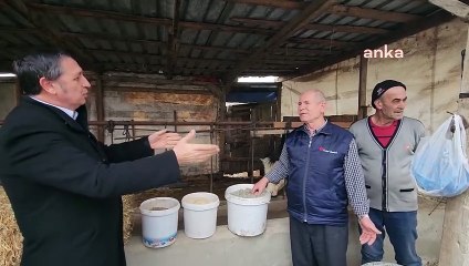 Edirneli çiftçi: Bir tane hayvanım kaldı, o da yavru