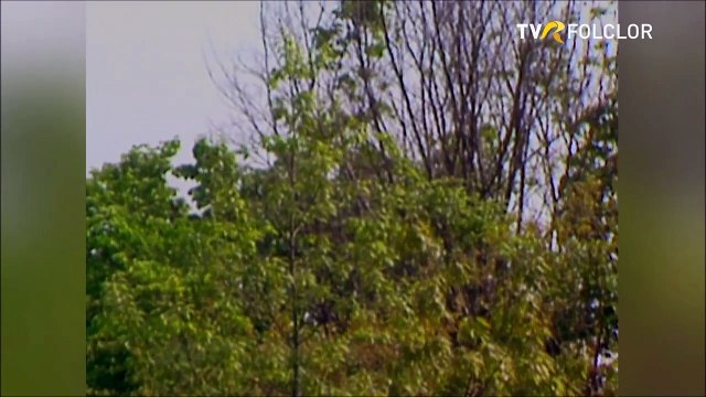 Ioan Bocsa - Dorul m-o purtat (Tezaur folcloric - arhiva TVR)