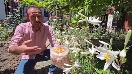 İşte Türkiye'nin gerçek gizli zenginliği: Kilosu 175 bin TL