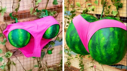 Simple Garden ideas to make your Plants smiling