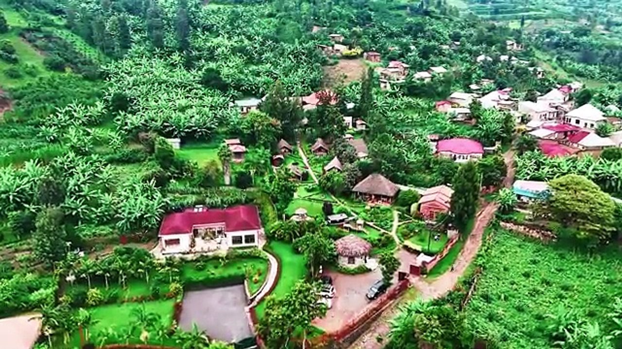 Finally Saw the Amazing Golden Monkeys in Rwanda  S7 EP.36 - Pakistan to South Africa- wildlens by abrar