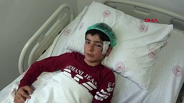 Aksaray'da pitbull vahşeti. Koyun otlatırken saldırıya uğradı