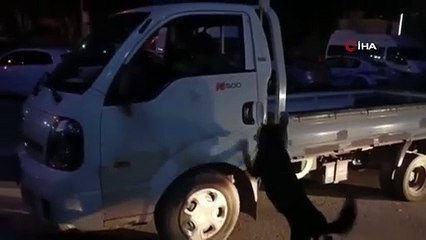 Zehir tacirlerine operasyon