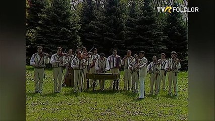 Marin Cotoanta - Instrumental cobza (Tezaur folcloric - arhiva TVR)