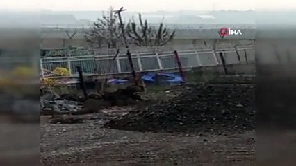 Mezarlığı domuzlar bastı