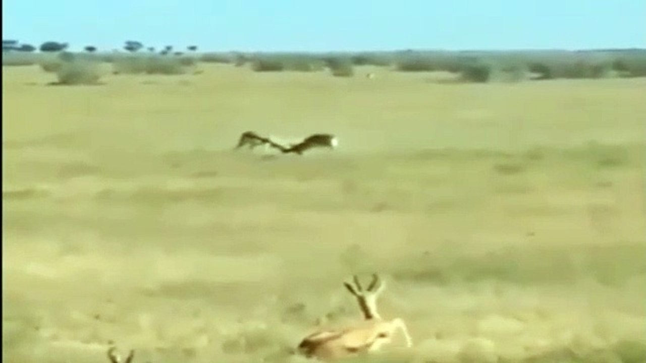 Kardeş kavgası kime yarar? İzleyin ve kendi gözlerinizle görün