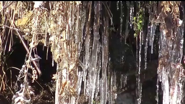 Erzurum, Kars ve Ardahan'da soğuk hava etkisini sürdürüyor