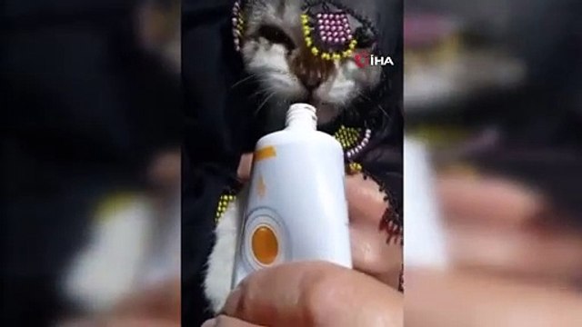 Yazma taktığı kediyi türküler eşliğinde besledi