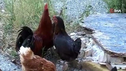 Adnan Polat garibanların elektriğini mi kestirdi? Yeşilçam filmlerinde izledikleri başlarına geldi