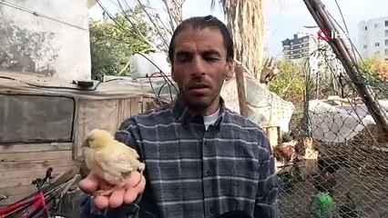 Gören bir daha bakıyor! Bu civcive 10 katı fiyat teklif edildi