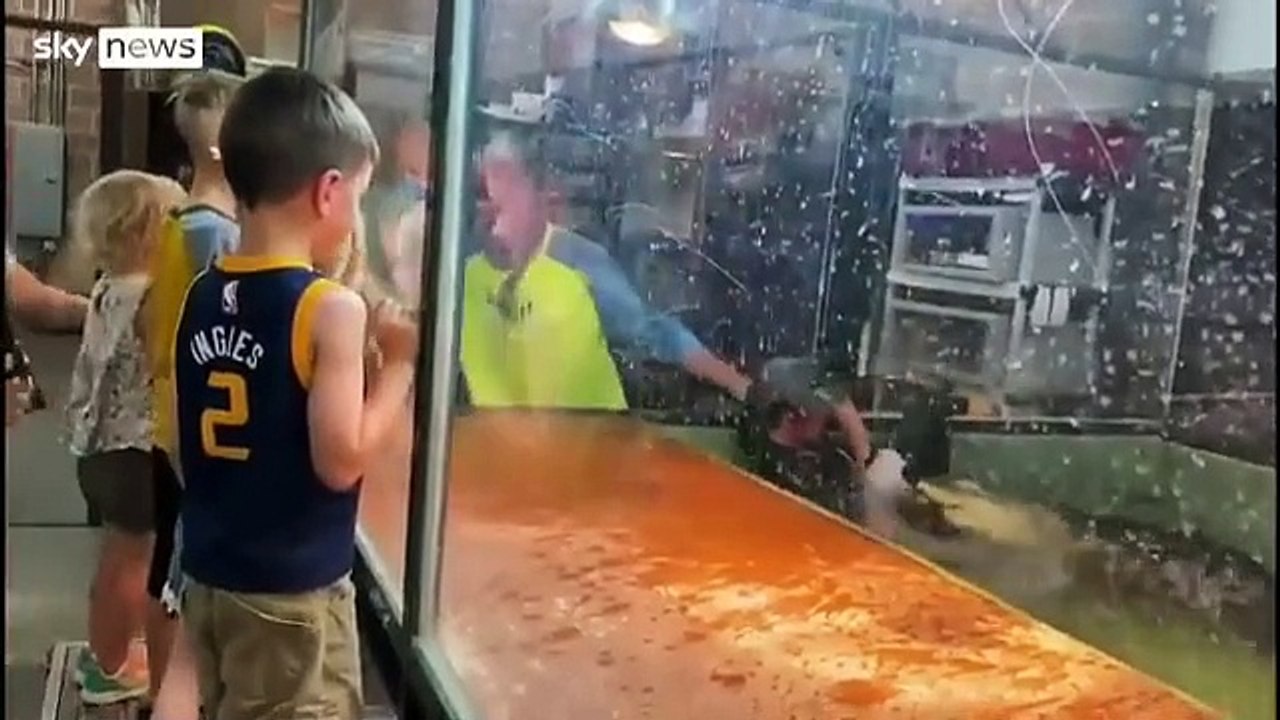 Bakıcı kadını timsahın ağzından aldılar