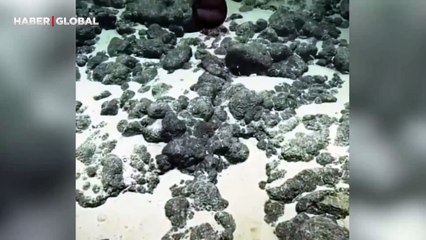 Okyanus tabanında görüntülenen olağanüstü balığın görüntüsü gündem oldu