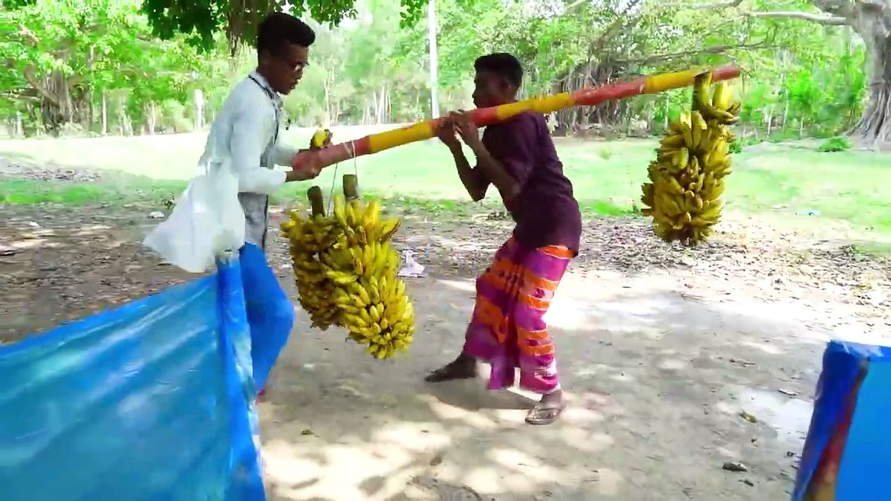 Don_t Miss Exclusively Monkey Funniest Comedy Video  Viral Funny Video 2024 (720P)