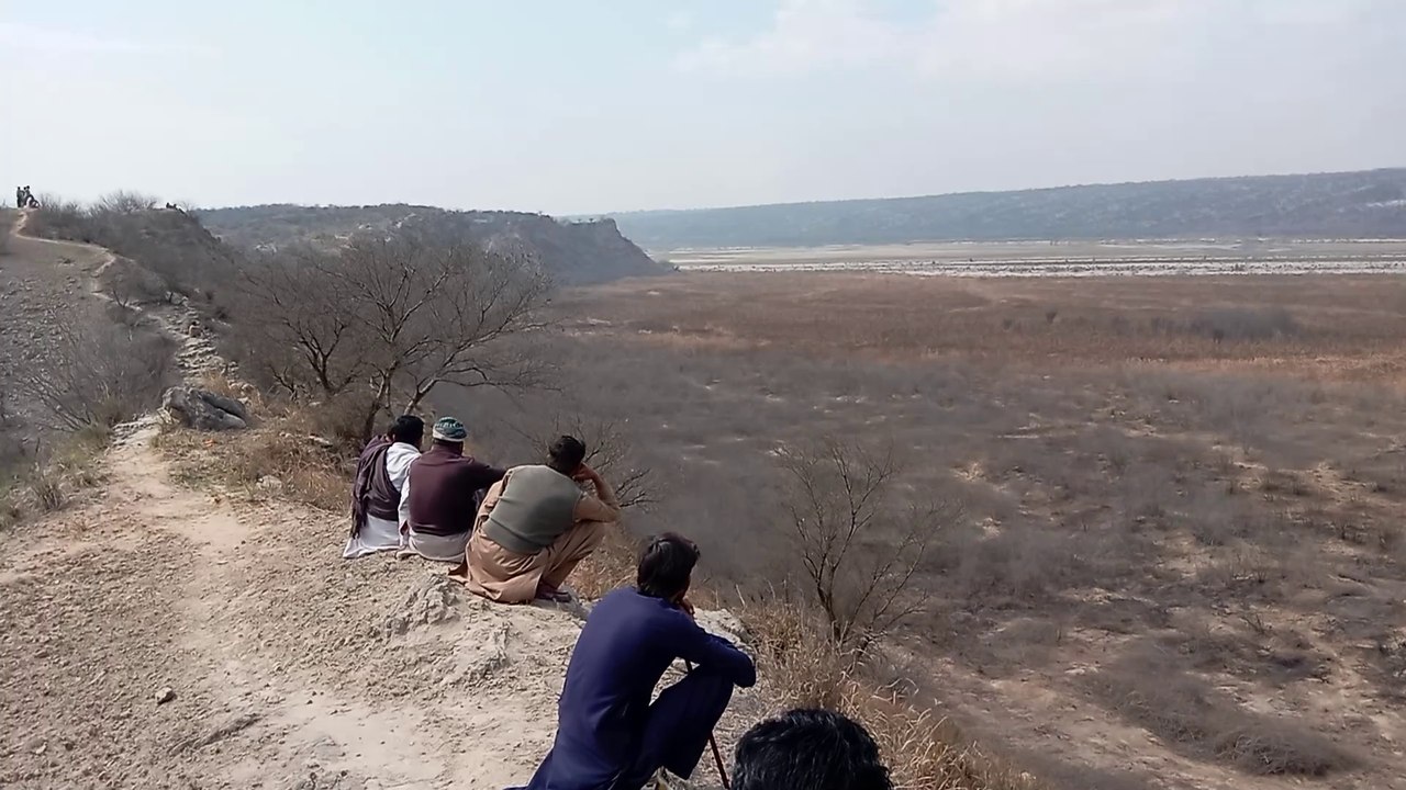 Jungali suar Ka Shikar kaise karte hain/suar Ka Shikar/hunting with dog